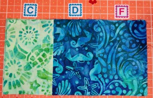 Cotton Cuts - Village Green - Team Begonia