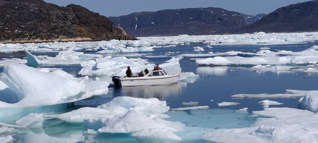 Sea Ice in the harbor