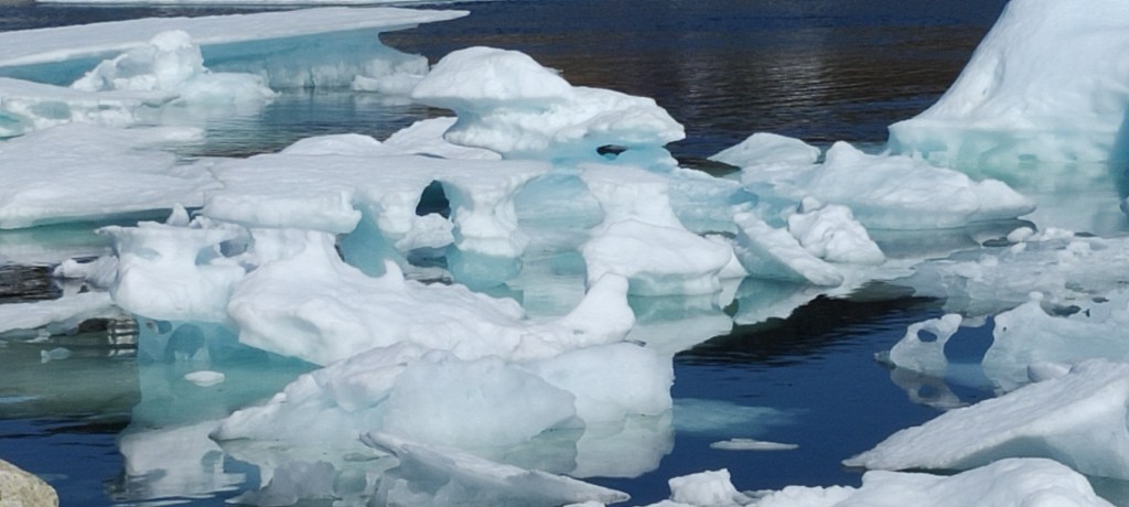 Sea Ice in Qaqortoq Greenland Harbor