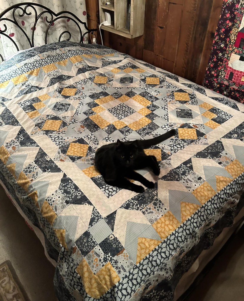 Village Green - Team Daffodil